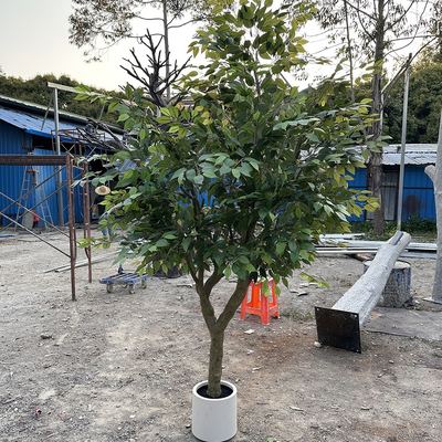 Handmade Realistic Durable Eco-Friendly Fiberglass Artificial Banyan Tree Custom Size Natural Look for Interior Commerci