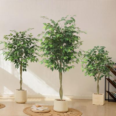 Artificial Ficus Benjamina Potted Plant-Eco-Friendly Durable Plastic Water Resistant Lightweight Detachable Home Commerc