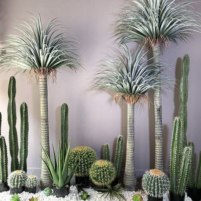 High-end Plastic Artificial Dragon Tree Potted Plant Moroccan Agave Bonsai Indoor Eco-Friendly Durable Photography Props