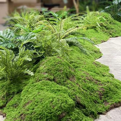 Chinese Factory Wholesale Lightweight Eco-Friendly Fabric Artificial Moss Turf High Simulation Indoor/Outdoor Use 1cm He